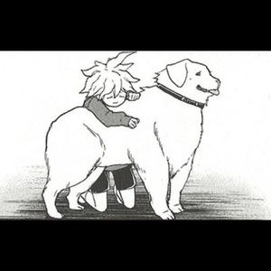 Meet your Posher, Kai